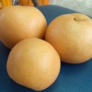 성립농장 이미지