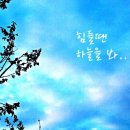 솔로몬문구 이미지
