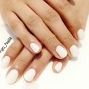 아르고네일 이미지