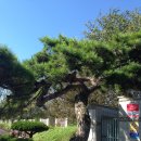 기산초등학교 앞 이미지