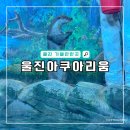 경북카닥터 | 경북 울진 가볼만한곳 울진아쿠아리움 입장료&amp;방문 후기