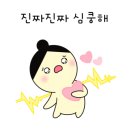 미플 - 해운대구 해운대해변로 140 | 미플