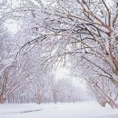 산수화길 이미지