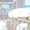 첨단초교 이미지