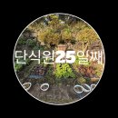 제주단식원