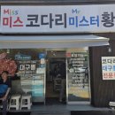 미스코다리 미스터황태 이미지