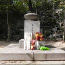 흰당나귀 - 제주시 동복로 11 | 흰당나귀