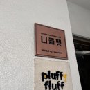플러피플러프 이미지