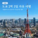 꽃띠 | 일본 도쿄 2박 3일 핫플로 꽉 채운 자유여행 코스