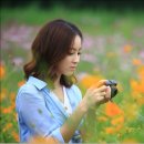 미스플라워 이미지