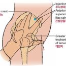 연수간호학원 이미지