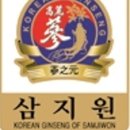 인삼월드