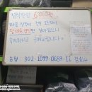 진주 캠핑장작 무인판매점 국산 참나무장작 10키로 6천원 희성상사 숯꾼 내돈내산후기