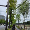 레인보우 뽑기샵 | 251014 도쿄여행 5일차 (황궁런~타츠노야~우에노~도쿄역)