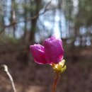 가평뒷동산길 이미지