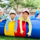 다우림명문유치원 이미지