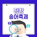 평창송어 이미지