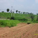 보림농장 이미지