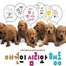 미나애견 이미지