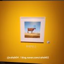 서울 전시회 / 아이들 가볼만한곳 헬가스텐첼사진전 할인 건대스타시티