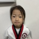 용인대신일태권도장