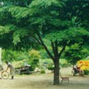 경기농장 이미지