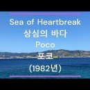 Sea of Heartbreak- POCO 이미지