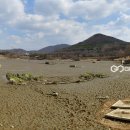 호수정원 이미지