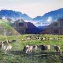 난산목장 이미지