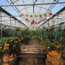 대정농장 이미지