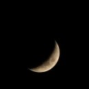 곱창통통 이미지