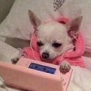 김밥천국 침산점 이미지