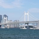 (주)대교여행사