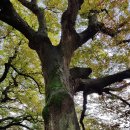 후덕양계장 | 예산 봉수산