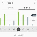 쥬니파파