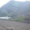 금강3농장 이미지