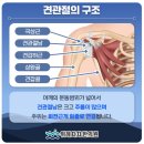차차한의원 이미지