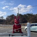 레스트펫카페테리아 | [울산 울주군 / 애견카페] 글램핑이 가능한 레스트펫 후기