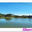 칠곡호수길 이미지