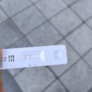 선릉코코약국 | 코로나 오미크론 확진후기:신속항원 양성 증상 자가격리