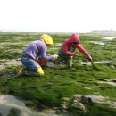 오늘의 포토 뉴스 이미지