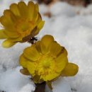 마포전철역 3번출구 이미지