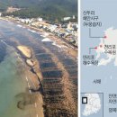 만리포니아 이미지