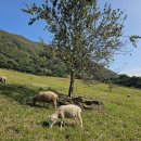 의재빌딩 이미지