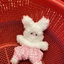 킫샌드위치 | 11월 ☃︎☃︎ 또 먹냐? 또 수영하냐?