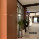 엘림햇살 이미지