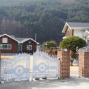 흥터민박 네이버블로그