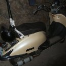 초이스팜 이미지