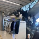 부디제주(스테이) | 제주도 여행기 1 - P의 여행은 어떻게 굴러가는가