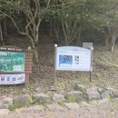 송호길민박